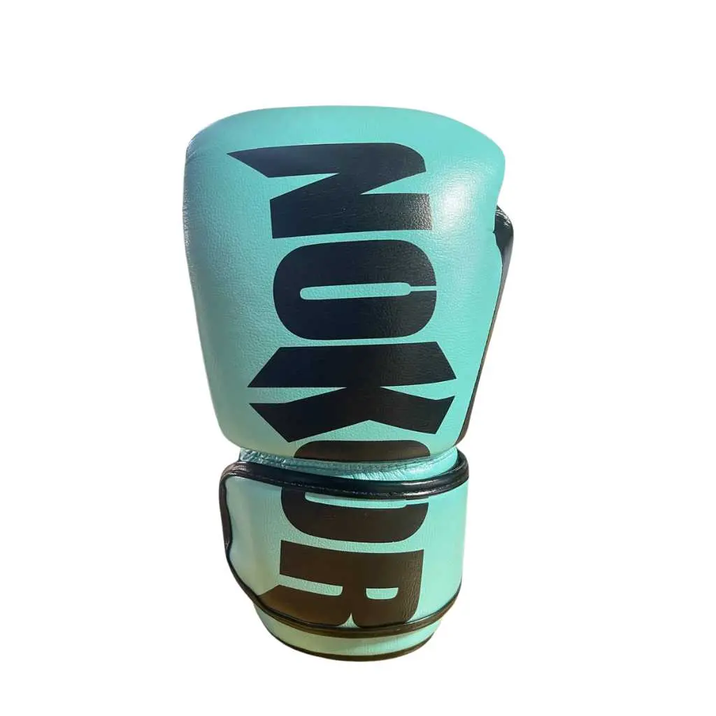 Nokor Gloves: Mint/Black Overstrike (TEST)